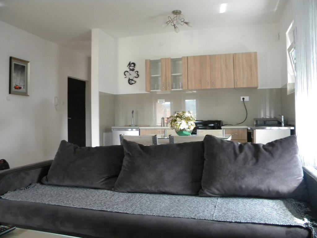 Apartment Srebrni Oblak أراندجيلوفاك المظهر الخارجي الصورة